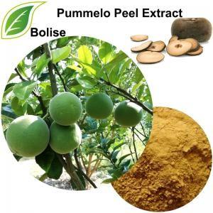 China Antibacterial Pomelo Peel Extract Exocarpium Citri Grandis Extract for sale