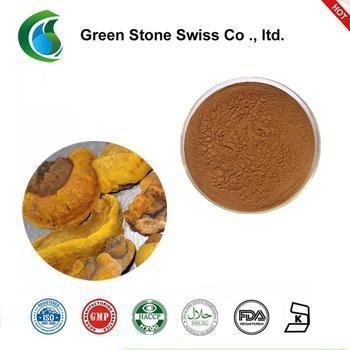 China Phellinus Linteus Extract for sale