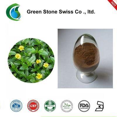 China Antibacterial 10/1 Wedelia Chinensis Extract Pharmaceutical Grade for sale