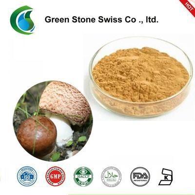 China Medical Grade Herbal Extract Powder Agaricus Mushroom Extract for sale