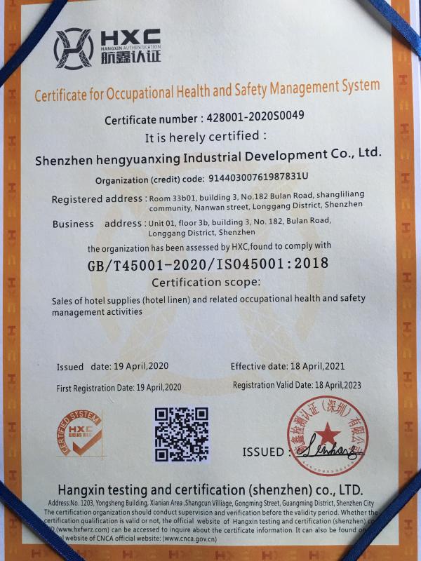 ISO45001 - Shenzhen Hengyuanxing Industrial Development Co., Ltd.