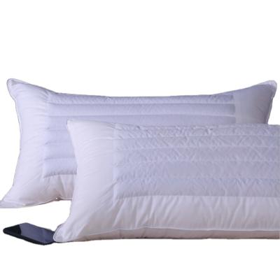 China PORTABLE Easy To Clean Mesh Buckwheat Pillow Care Pillow Can Be Customized Pillow for sale