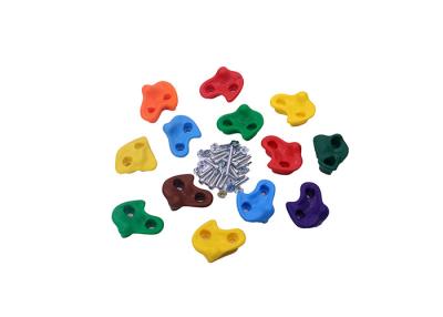 China Durable Indoor Kids Rock Climbing Holds PP Material With Hardware Screw for sale