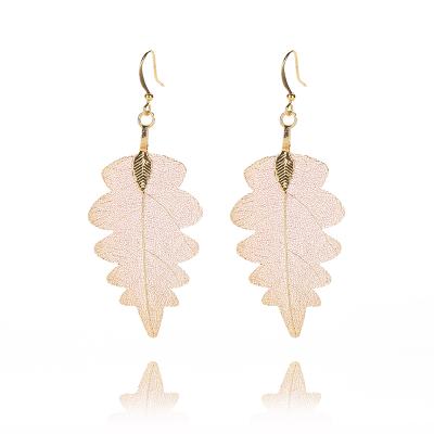 China Cute Fashion European Personalized Real Gold Leaf Natural Leaf Wavy Earrings Leaves Jewelry Lady's Earrings for sale