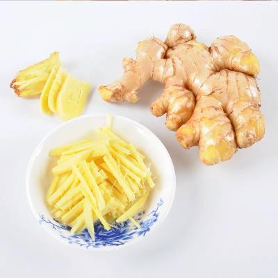 China Chinese Shandong Ginger Multifunctional Fresh Garlic Ginger Chinese Ginger for sale