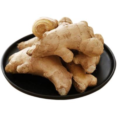 China Fresh stem ginger pieces raw ginger airdried ginger for sale