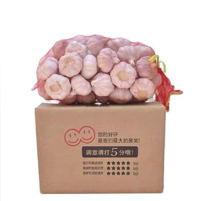 China South Africa Shandong Fresh Original Chinese Garlic Of Garlic Price for sale