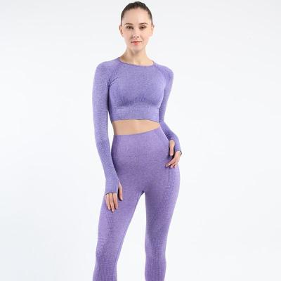 China New Autumn And Winter Seamless Yoga Suit Solid Color QUICK DRY Woolen Long Sleeve Quick-Drying Yoga Clothes Suit for sale