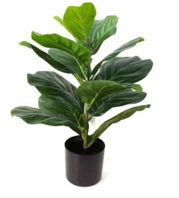 China Plastic Artificial Mini Fiddle Leaf Fig Tree for sale