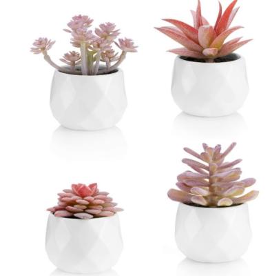 China Plastic Faux Succulents in White Ceramic Pots Set of 4 for sale