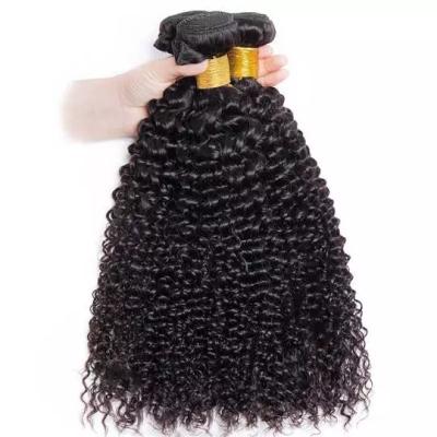 China 9A Curly Virgin Mink Brazilian Hair Bundles With Closure Weave Kinky Curly Hair Bundles Raw Brazilian Remy Hair Curly Vendors for sale