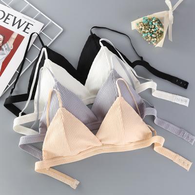 China QUICK DRY no wire bra French sexy cotton steel bra triangle cup bra single breasted ring girl underwear girl bra for sale