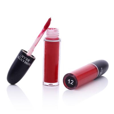 China OEM Makeup Cosmetics Lipstick Cup Durable Non-stick Cup Nature Liquid Lip Gloss Odm Matte Lipsticks Waterproof Lip Gloss for sale