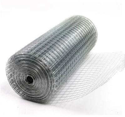 China Plain Weave Welded Wire Mesh for sale