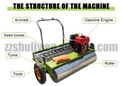 China Motorized Raddish Gasoline Seeder Machine Manual Vegetable Onion Seeder for sale