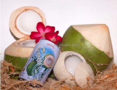 China Other Miramar Thailand Wholesale OEM 100% Natural Green Coconut Water Juice for sale