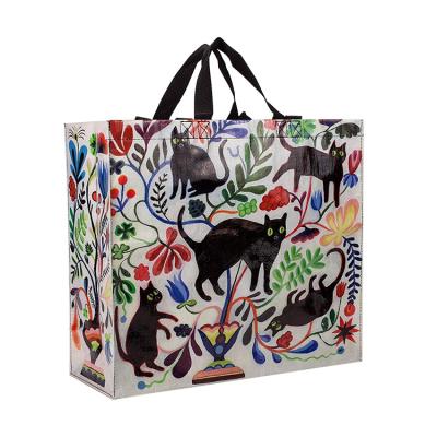 China Handled Customize PP Woven Colorful Designer Shopping Bags for sale