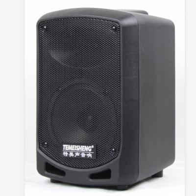 China No TEMEISHENG 6.5 inchTWS Mini Stereo BT-Connected Portable USB Rechargeable Speaker for sale