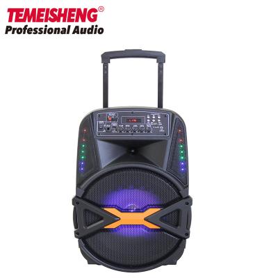 China Show Video Information 2021 Summer Time Temeisheng 12inch Professional Karaoke Cart Wireless Speaker Box for sale