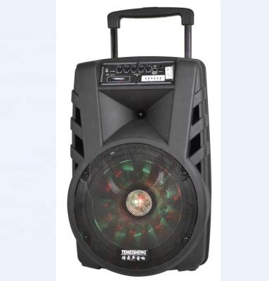 China No Active TEMEISHENG DJ Party Outdoor Rechargeable Speaker With LED Light for sale