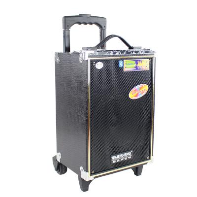 China No Temeisheng Portable Trolley Speaker System Home Theater System Speaker for sale