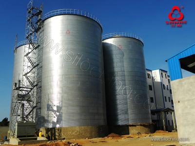 China Assembly Type Hot Galvanized Flat Bottom Grain Storage Silos for sale