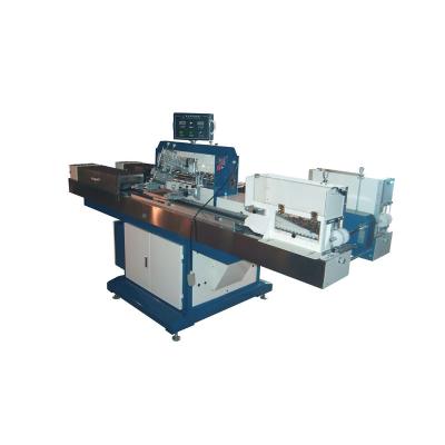 China Full Automatic High Speed ​​Hotels Screen Printing Machine For Aseptic Package AMP Bottle for sale