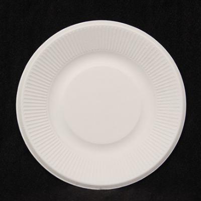 China Home Restaurant Hotel Party Picnic BBQ Biodegradable Plate Christmas Plates Custom Printed Dinner Plates OEM OPP Bag + Cardboard Box CN; HUB for sale