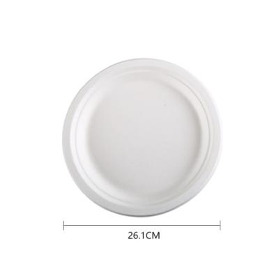 China Disposable Biodegradable Food Packaging Disposable Store Take Out To Go Sugar Cane Pulp Dish for sale