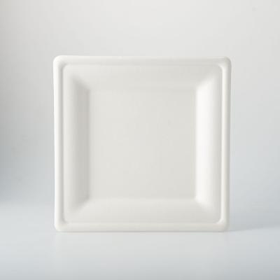 China Disposable Square Biodegradable Sugar Cane Bagasse Paper Pulp Mold Disposable Dishes for sale