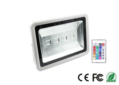 China 200w Brightness Landscape Led RGB Flood Lights Coloured with Remote Controller for sale