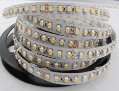 China CCT Tunable White 120LEDs/m 3528 LED Strip 12V 24V color temperature adjustable for sale