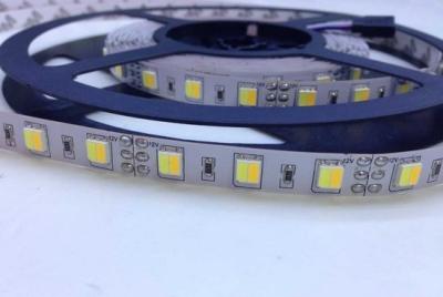 China SMD 5052 CW+WW  2-in-1 Dual White Tunable White Dynamic White LED Strip for sale