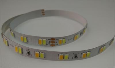 China CCT Tunable Dual White 112LEDs/m 5630 LED Strip 24V color temperature adjustable dynamic white ultra bright SMD 5630 for sale