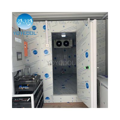 China Ice Store Solar Cold Room Coldrooms Solar Powered Walk In Solar Cooler Frozen Food Storage Or Others for sale