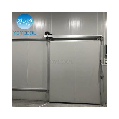 China Revit Glass Door Cold Storage Display Freezer Industrial Frozen Food Storage Or Others Refrigerator For Fruit for sale