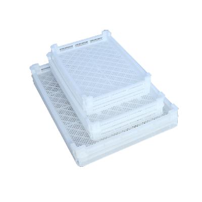 China Food Plastic Vented Tray Plastic Drying Tray For Food Mango Drying Nesting And Stacking Drying Pallet for sale