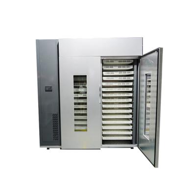 China Hotels fruit and vegetable dryer hot air dryer for fruit and vegetable apricot drying machine for sale