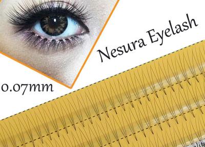 China Pro Natural C Curl 0.12mm 8/10/12mm Black Individual False Eyelashes 3d 4d 5d Silk Eyelash for sale