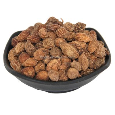 China Dried Fructus alpiniae oxyphyllae puzzle for sale