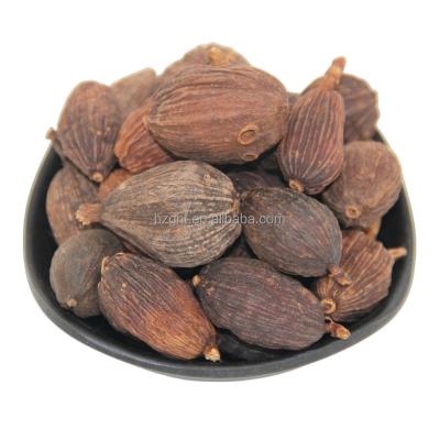 China Dry Amomum Tsaoko Crevost and Lemarie spices tsaoko high quality raw natural dried fruit for cooking factory supply amomum tsaoko for sale