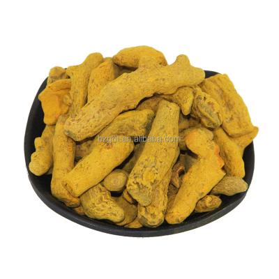 China Hot Selling Dry Longa L Root Premium High End Yellow Longa L Longa Natural Dry Turmeric Root From Jiang Huang Turmeric Longa For Spice for sale