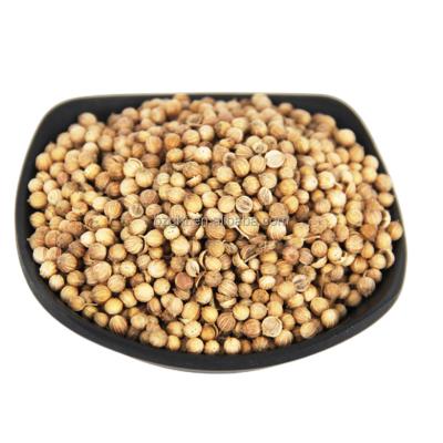 China Dry Coriander Seeds Supply 100% Pure Natural Coriander Seeds Spice Coriander Dried Best Price Wholesale Seeds for sale