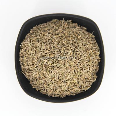 China Dried Cuminum cyminum L.Cumin Seeds Natural Aromatic Quality Best Spice Brown Seasoning Seeds Zi Ran for sale