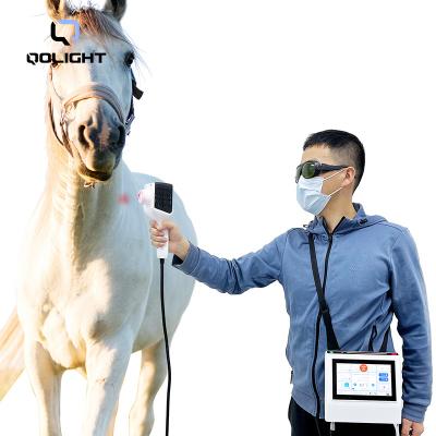 China Class 4 Portable Portable Laser Therapy Veterinary Equipment For Animal Pain Relief for sale