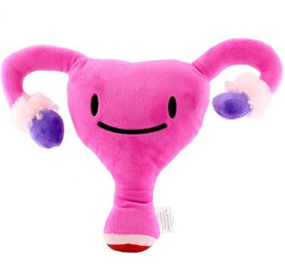 China Fashion Amazon Hot Selling Plush Uterus I Know My Own Heart Ivy The Uterus - Toy Gynecologist Education Stuffed For Surgeon for sale