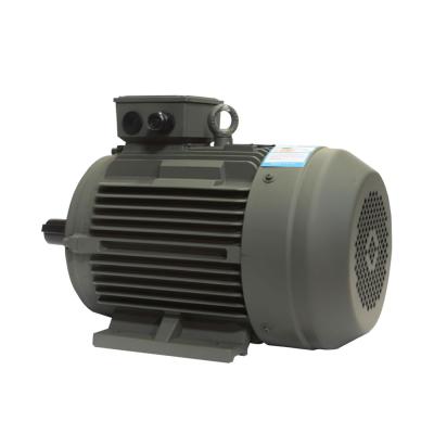 China YE3-100L1-4 2.2KW 3HP 380V 400V 1450RPM 3 Volt 1450 RPM Three Phase YE3-100L1-4 Three Phase Brushless AC Induction Electric Motor 380 KW 380 KW 3 Volt 1450 RPM for sale