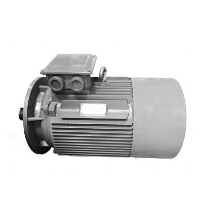 China YE2-180L-4 22KW 30HP AC Brushless Electric Motor 3 Phase Totally Enclosed Induction for sale