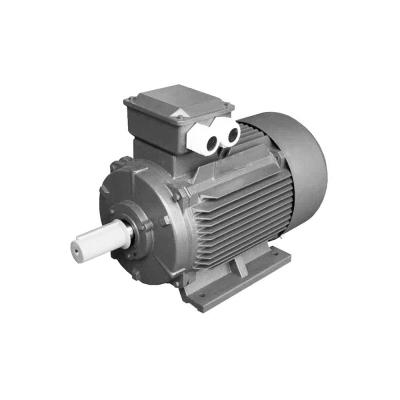 China YE2-315L1-4 160KW 1490RPM Brushless Three Phase AC 3 Induction Totally Enclosed Electric Motor for sale