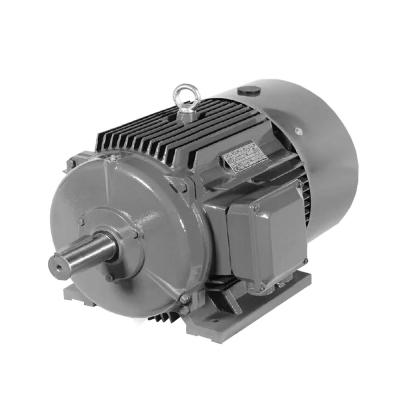 China YE2-160M-4 AC 3 Brushless Three Phase Induction Totally Enclosed Electric Motor 11 Kw 15 Hp 1470 Rpm for sale